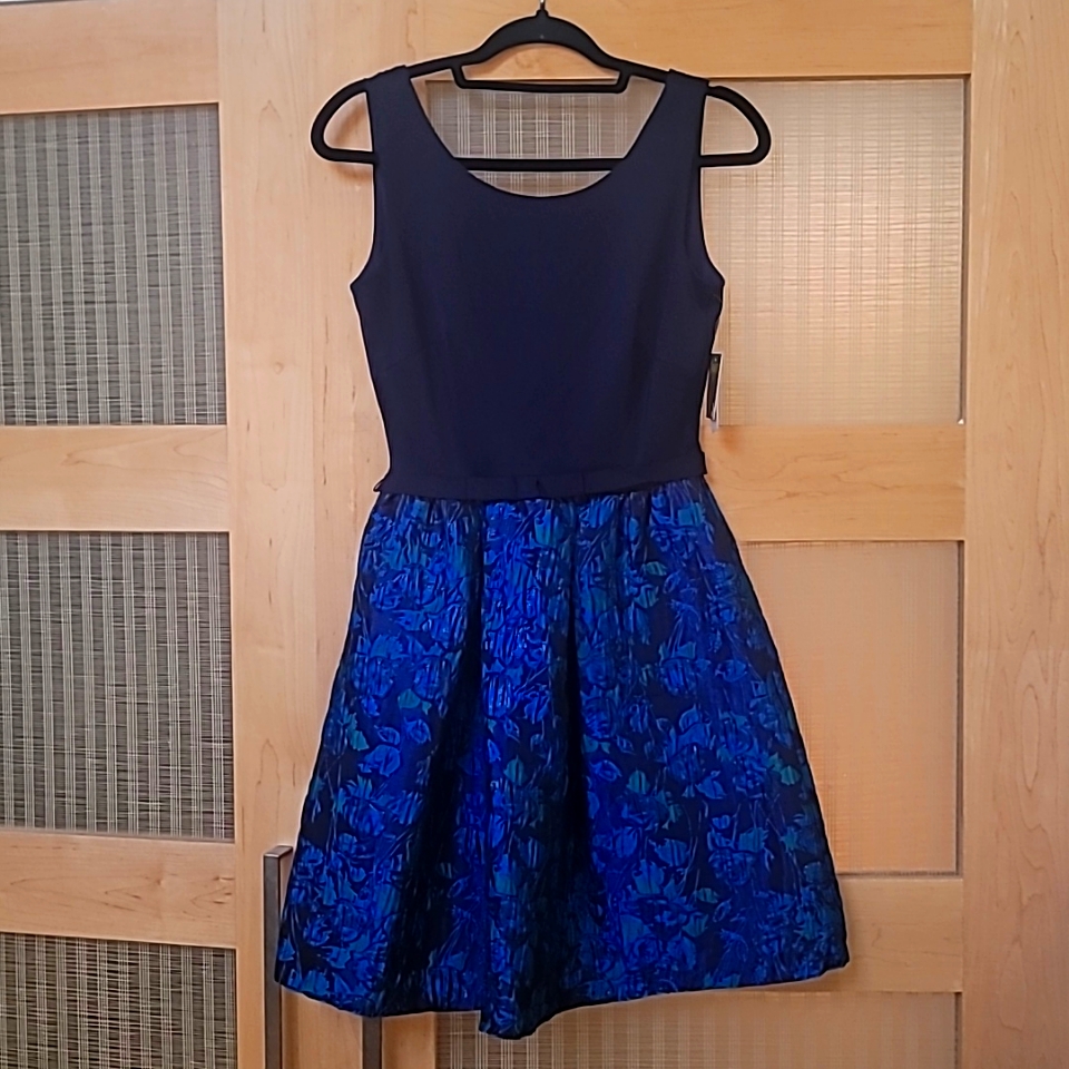 Taylor Dress Sz2 Brand New